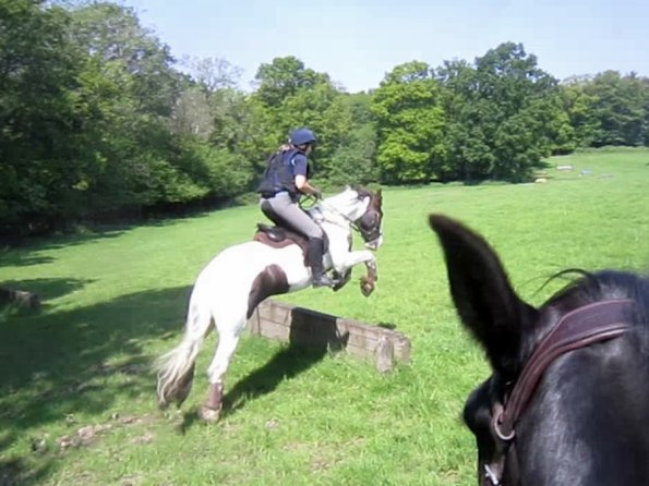 Day at Hurstwood (36)