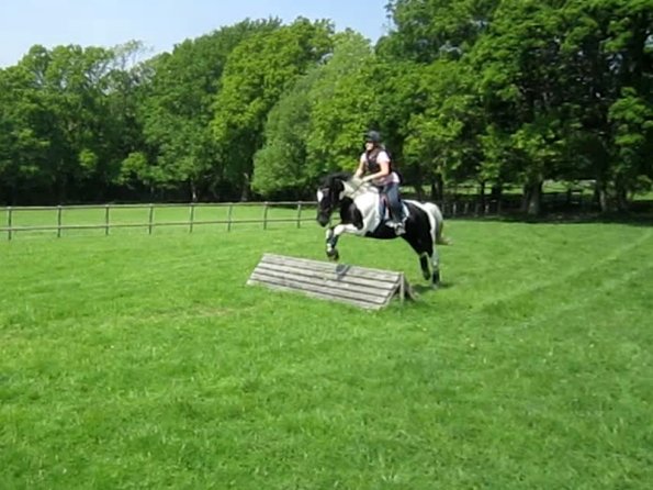 Day at Hurstwood (37)