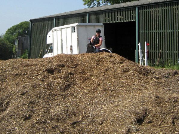 Day at Hurstwood (4)