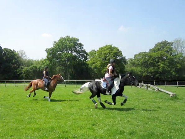 Day at Hurstwood (43)