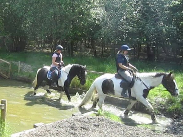 Day at Hurstwood (45)