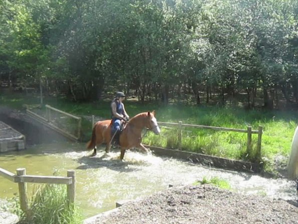 Day at Hurstwood (46)