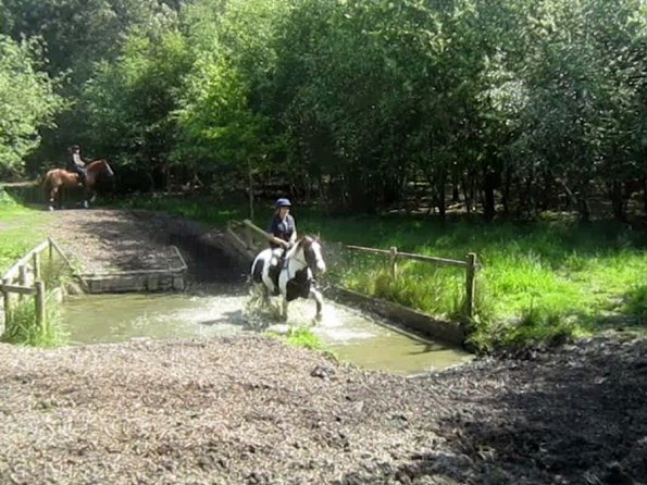 Day at Hurstwood (48)