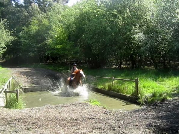 Day at Hurstwood (49)