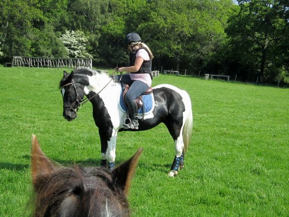 Day at Hurstwood (5)