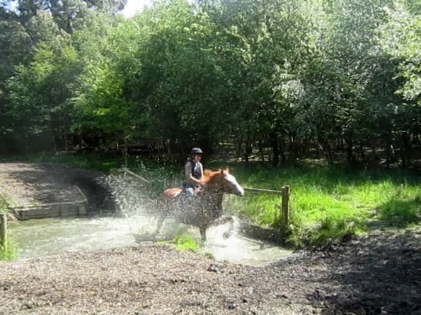 Day at Hurstwood (50)