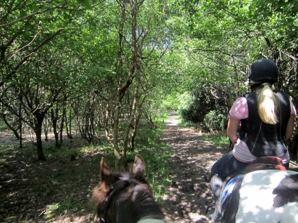 Day at Hurstwood (9)