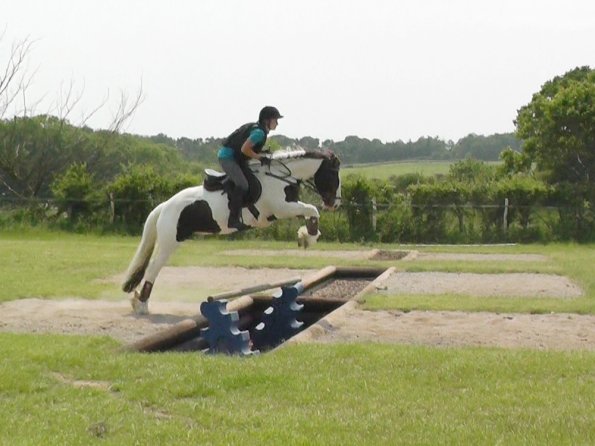 06-05-2016_121005 - Copy