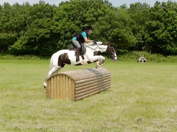 06-05-2016_121728(1) - Copy