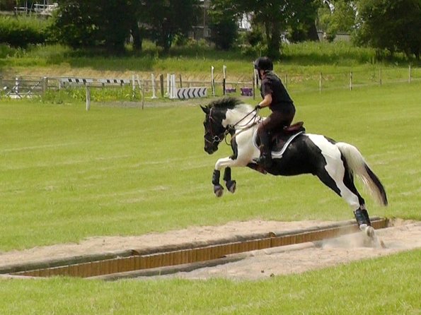 06-05-2016_124320 - Copy