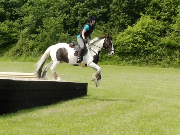 06-05-2016_124841 - Copy