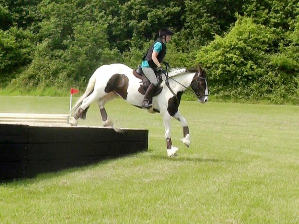 06-05-2016_124940 - Copy