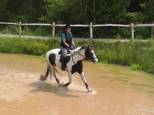 06-05-2016_130143(2) - Copy