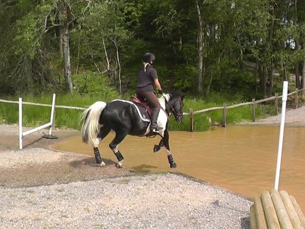 06-05-2016_130559 - Copy