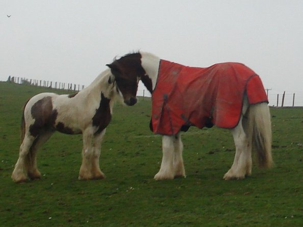 Geezer and Lance meeting 2