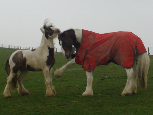 Geezer and Lance meeting