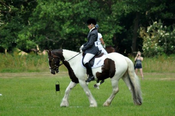 Area Dressage (19)