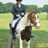 Area Dressage (20)