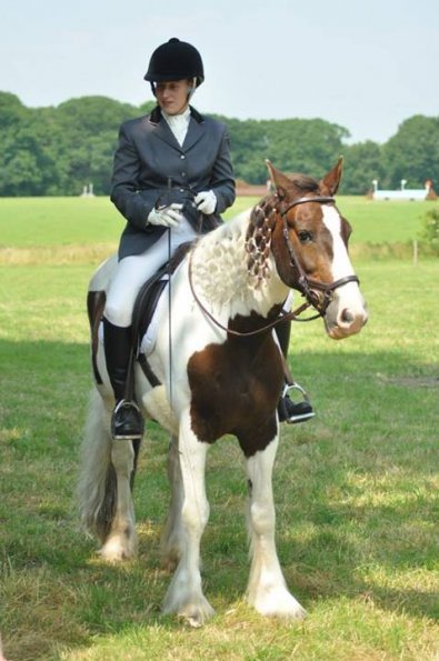 Area Dressage (20)