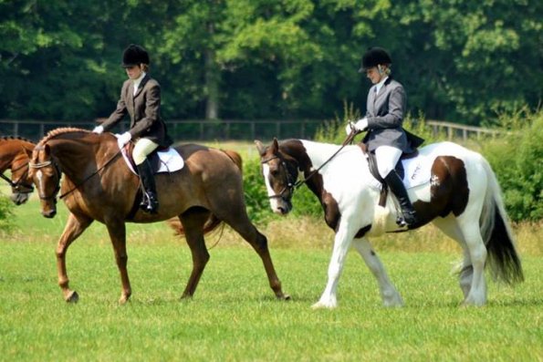 Area Dressage (21)