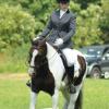 Area Dressage (22)