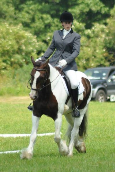 Area Dressage (22)