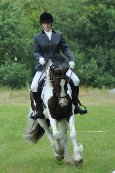 Area Dressage (23)