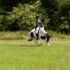 Area Dressage (25)