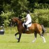 Area Dressage (26)