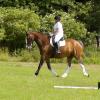 Area dressage @ Rackham