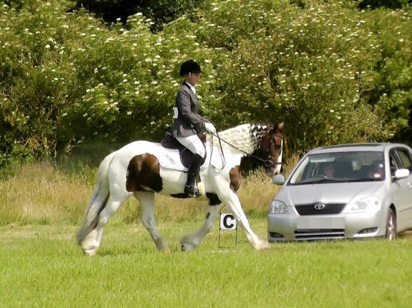Area Dressage (28)
