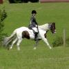 Area Dressage (3)
