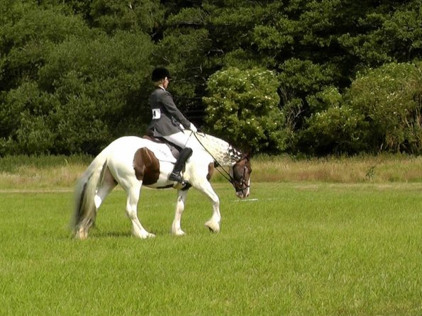 Area Dressage (32)