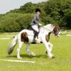 Area Dressage (33)