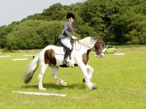 Area Dressage (33)