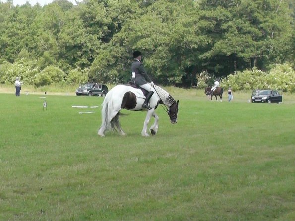 Area Dressage (34)