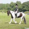 Area Dressage (35)