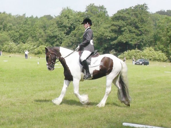 Area Dressage (35)