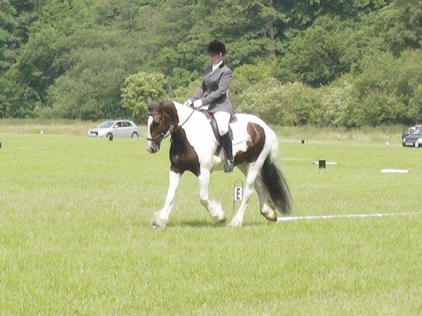 Area Dressage (37)