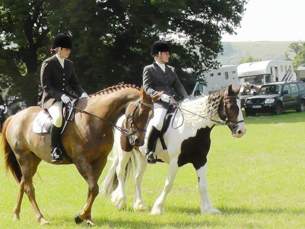 Area Dressage (4)