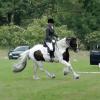 Area Dressage (40)