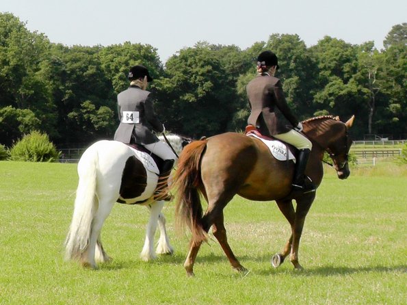 Area Dressage (5)