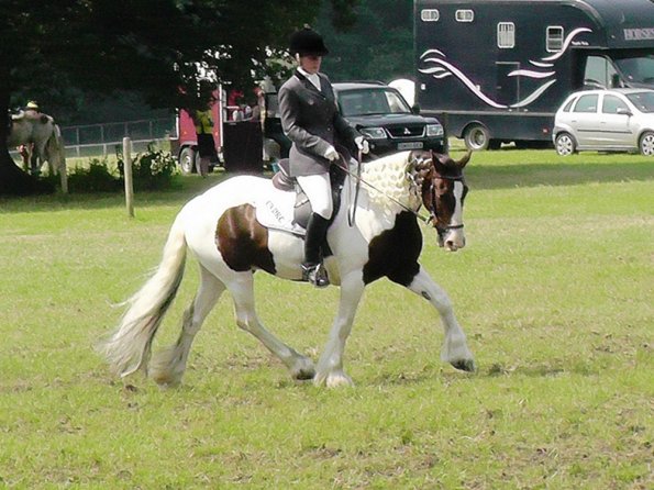 Area Dressage (7)