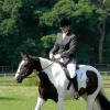 Area Dressage (8)