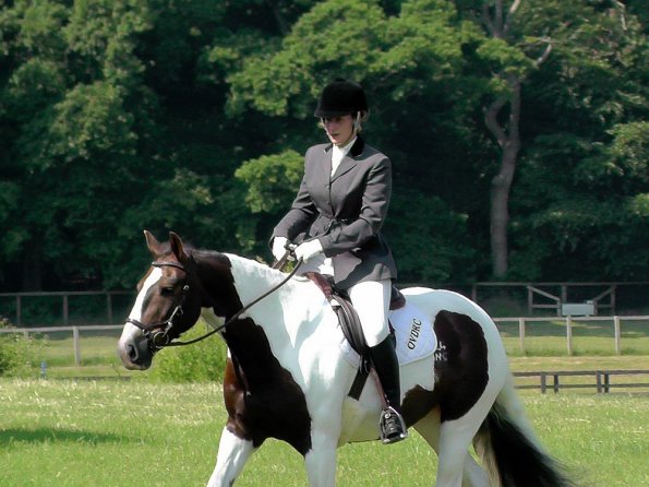 Area Dressage (8)