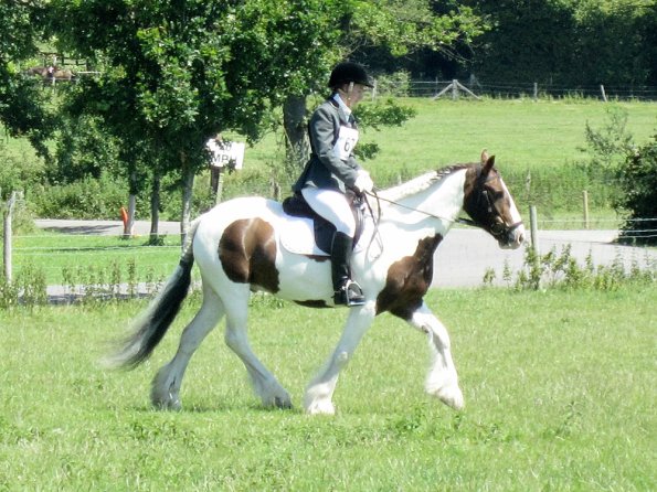 Lance dressage (10)