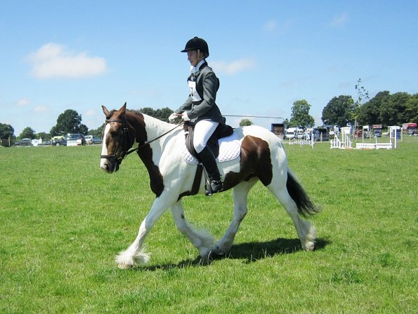 Lance dressage (11)