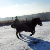 Appley video canter