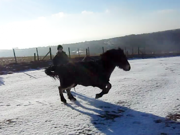 Appley video canter