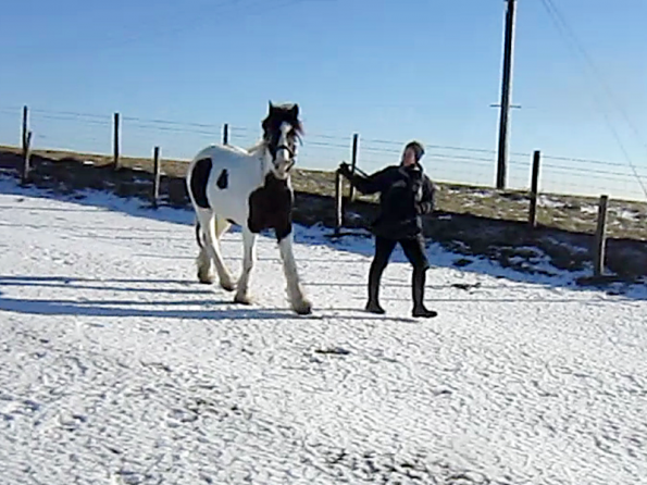 Lance leading video (2)